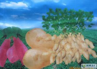 大量0掺混肥料 复合肥料_精细化学品_世界工厂网中国产品信息库